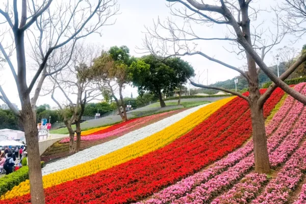 「臺版富良野」北投社三層崎花海「開幕園遊日」今（2/11）日與民眾同樂！