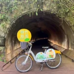 以步行或自行車等綠色運具造訪三貂嶺生態友善隧道，近距離感受山林環境與自然生態風貌。(圖為114年活動資料照)