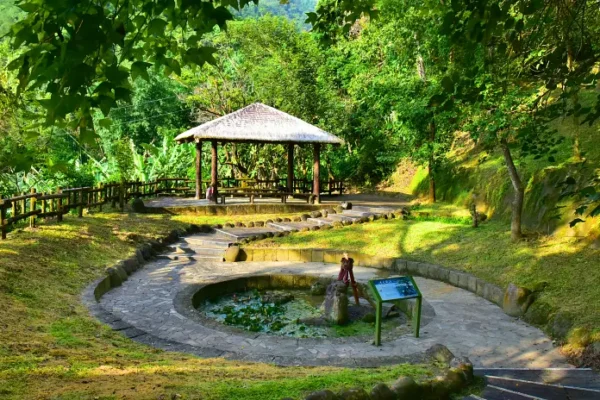 茶山山豬造型雞蛋糕