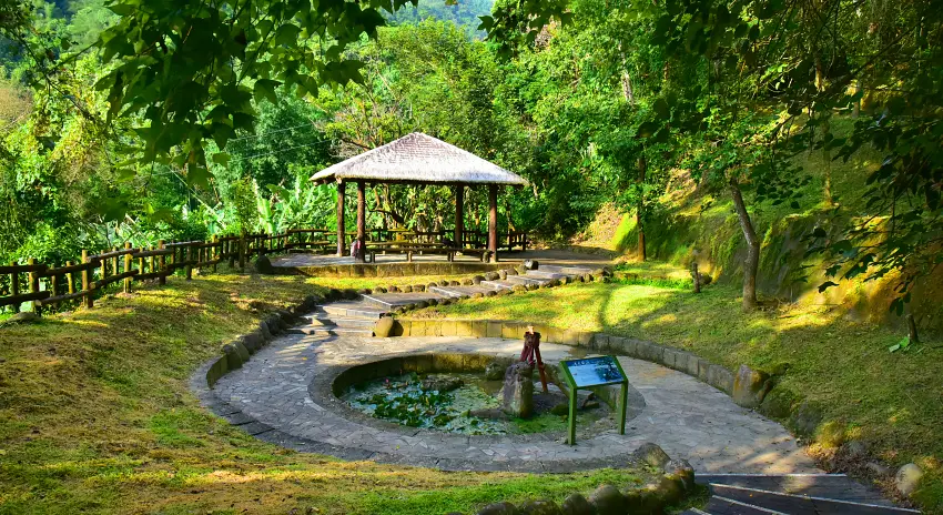 茶山山豬造型雞蛋糕