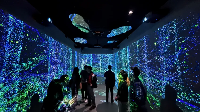 本場域以「走進阿里山」為敘事主軸，有別於傳統靜態展示，強調「參與」與「情境」體驗