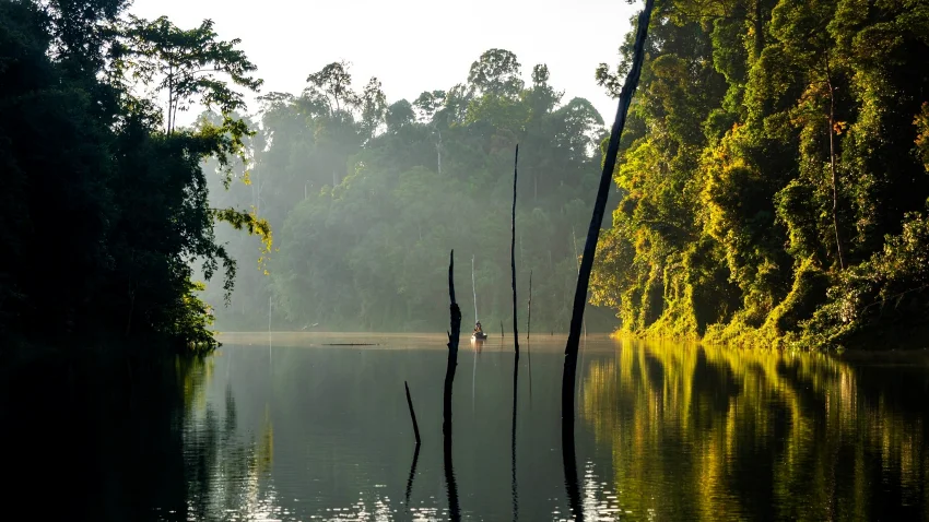 柏隆皇家州立公園是世界最古老的熱帶雨林之一。圖片來源/馬來西亞觀光局
