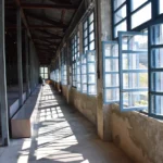 大溪老茶廠復古的大溪藍窗櫺成為網美打卡熱點