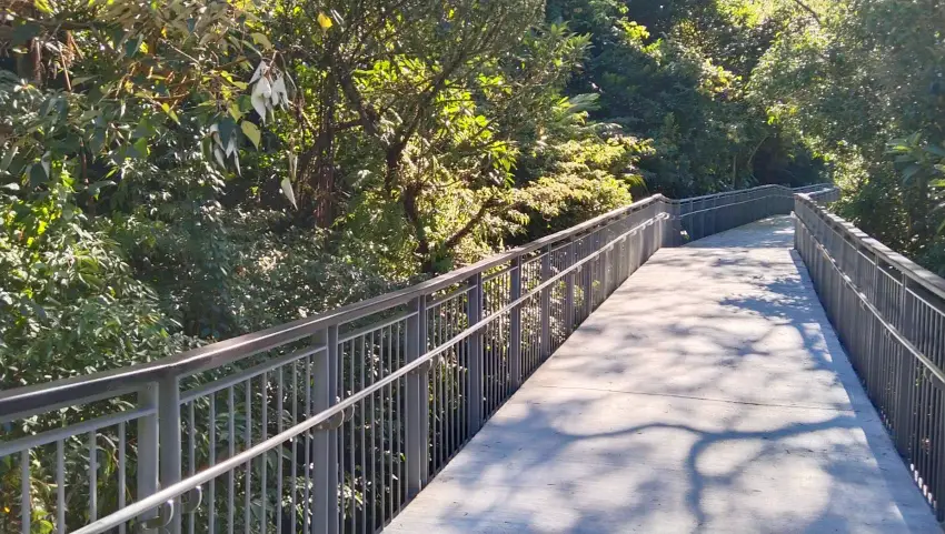 十分友善步道以平緩的坡道取代階梯，讓民眾能更輕易接觸大自然。