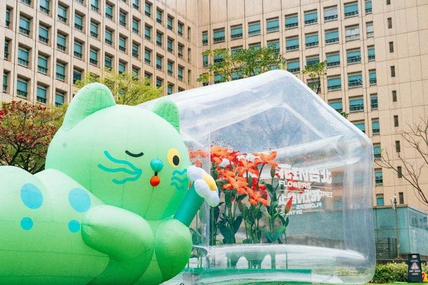 軟萌可愛的園丁喵喵呵護著美麗的橘紅色百合