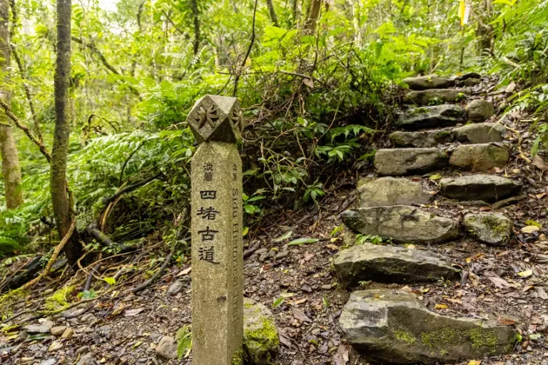 淡蘭古道南路坪林段保留古道石階與自然景觀，行走於茶鄉山林間，在春節假期中感受歷史人文與自然交織的慢活氛圍。