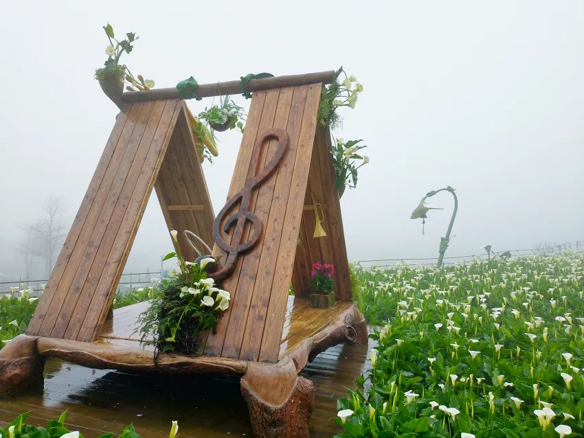 金質獎-海芋風鈴下的蛙聲-名陽匍休閒農莊