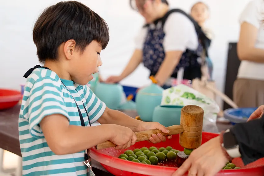 春季走進新北各大博物館，不僅能欣賞精彩展覽，也可參加手作體驗課程，感受文化與創意的魅力。