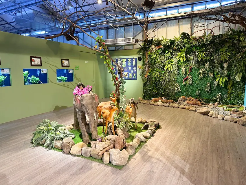 礁溪晶泉丰旅春季三天兩夜專案推出蘭花園生態館體驗，走訪金車礁溪蘭花園附設動植物生態館，探索蘭花展示與雨林綠境。圖／晶泉丰旅提供